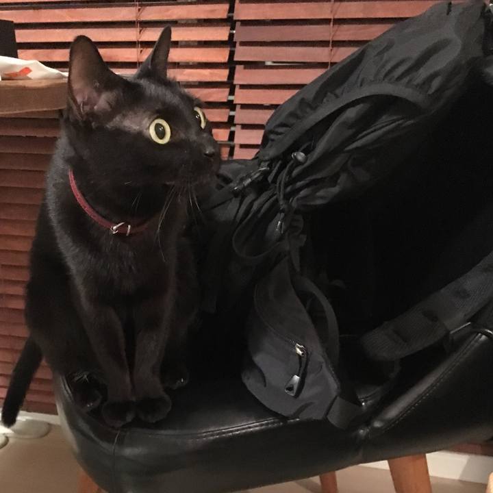 61d9b83b c95b 49f2 a594 0b4980de6687