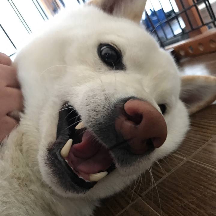 61da41b0 901d 4ef6 9f85 3e1d40b4b2e2