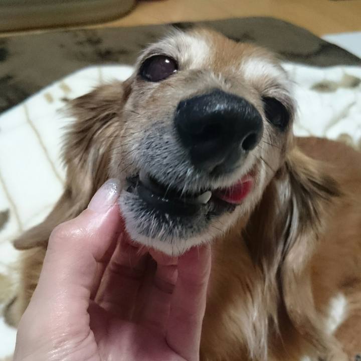 61dab884 2657 486b abc7 f069070b2331