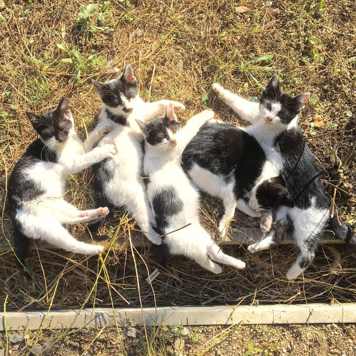 61db01e5 065d 46f3 8d99 fd476f4126c8