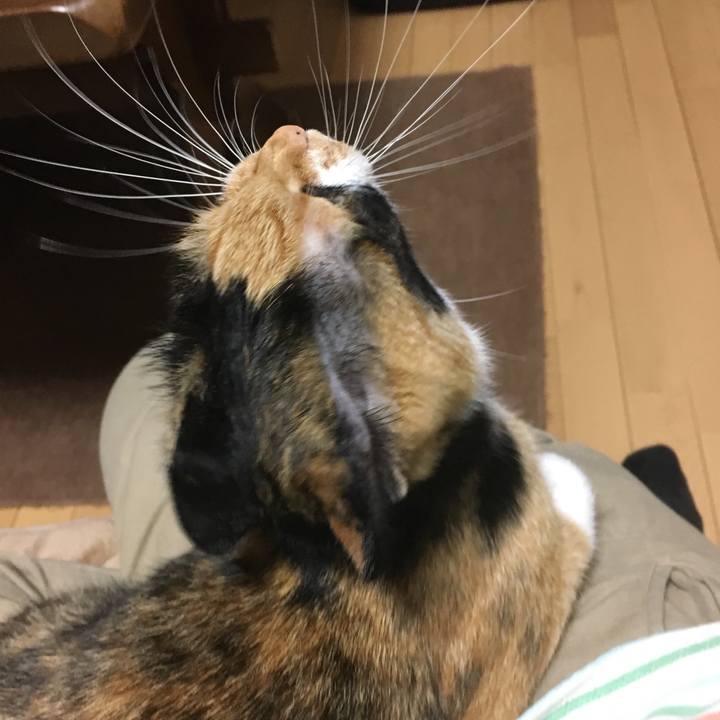 61dba20c 0712 4cb5 880e 00ef252a6f20