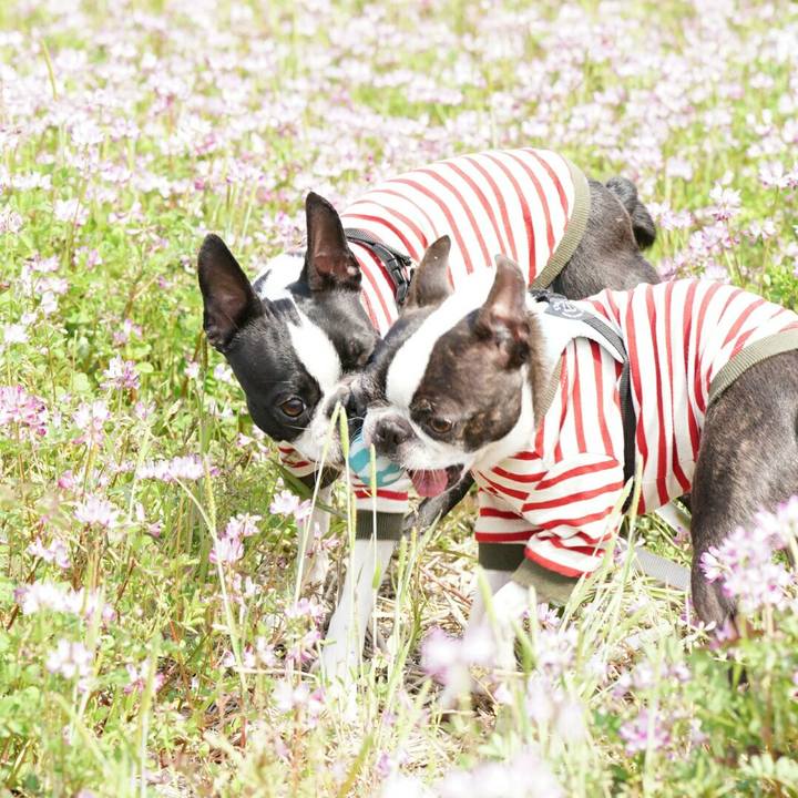 61dbd021 5d50 48db 84c6 205c06eb9200