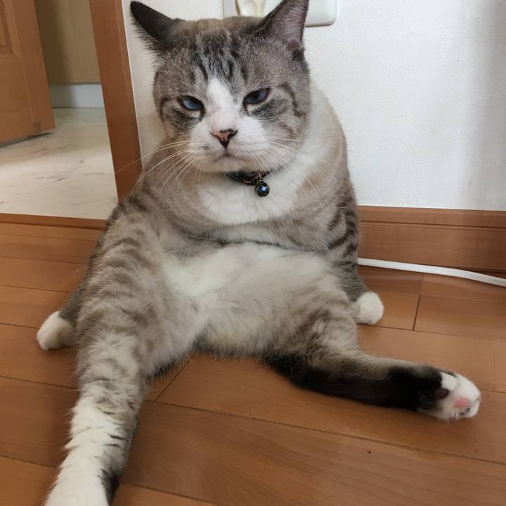 61dc9496 c90f 460e 8820 5600154d1339