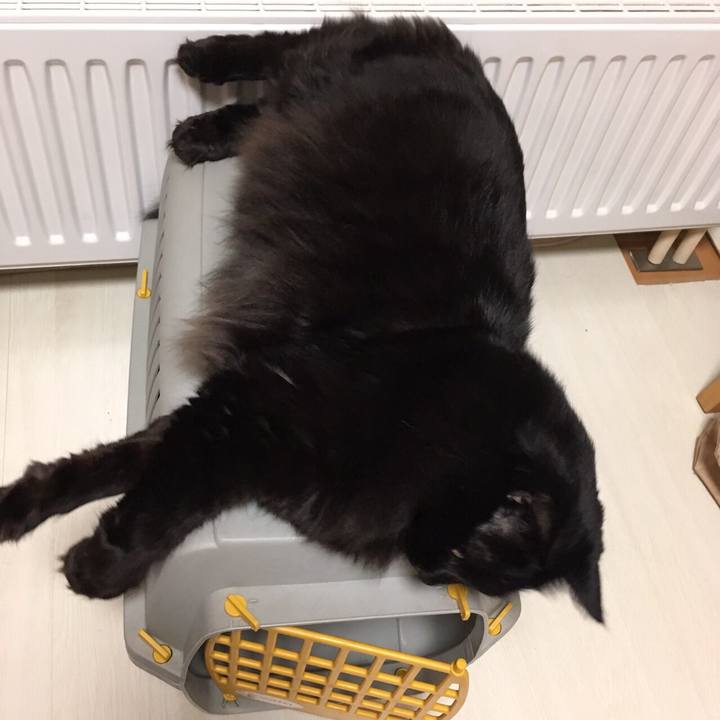 61dd264a 9595 4af2 95d8 152dfa22d746