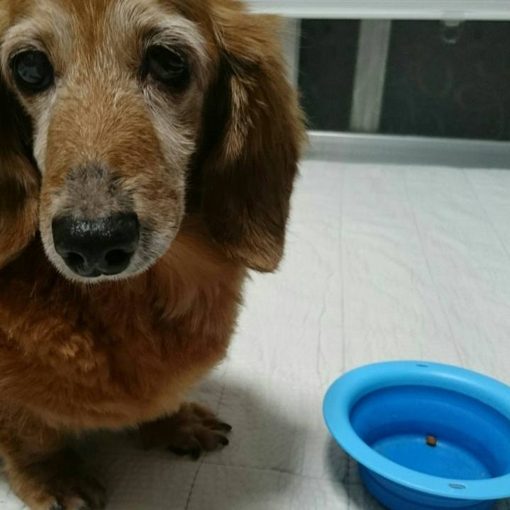 61de5107 01b6 4a69 bda1 1d1b66a24934