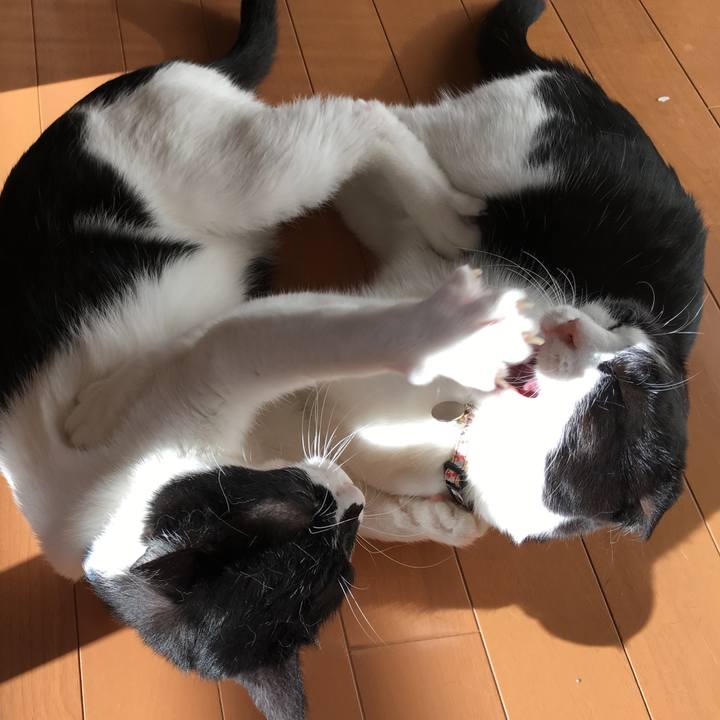 61de72c1 0fc8 4874 9bdd 1ba68b0a247e