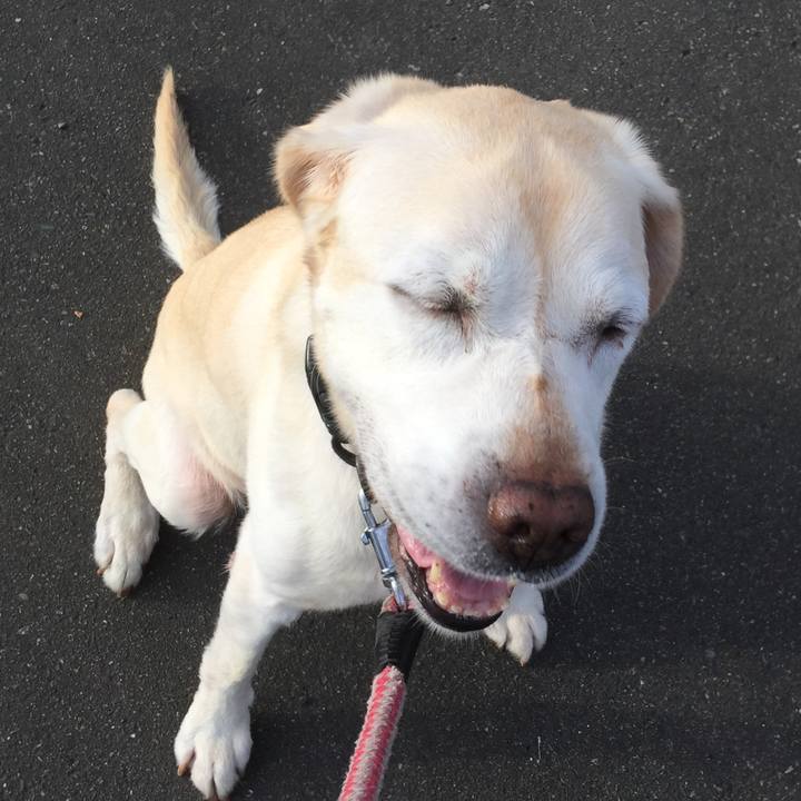 61deeb3e 6e29 48d7 aa55 f5f1d8a7845d