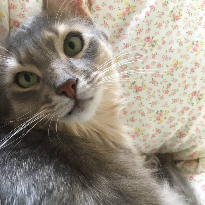 61df4b96 ad05 4b54 93ff 13c758e95150