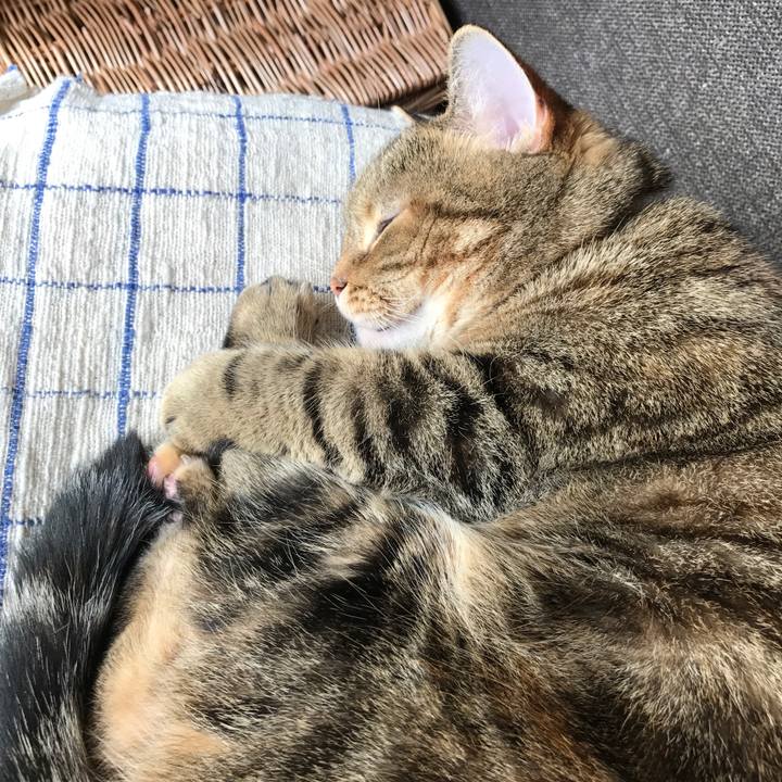 61df9651 6c4b 49c5 8d61 cb1f5ed22618