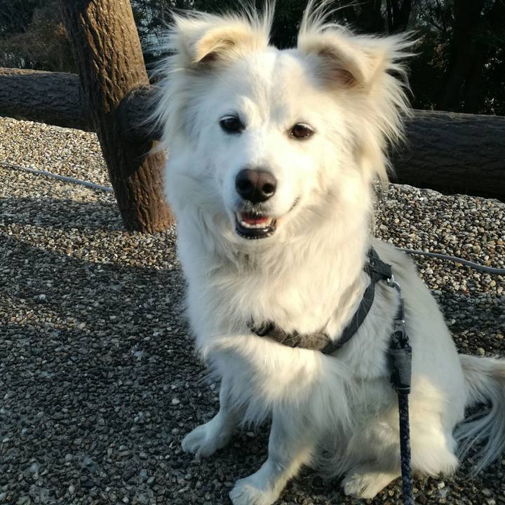 61dfd6da 4199 4741 b3e3 1ed6028b508b