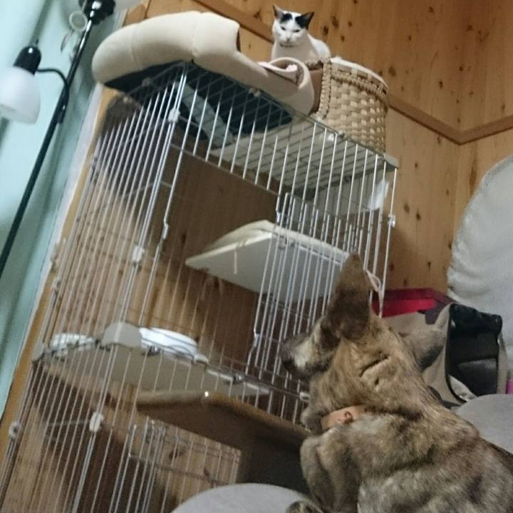 61e07358 f499 4ca9 87ff 75198f79ebad