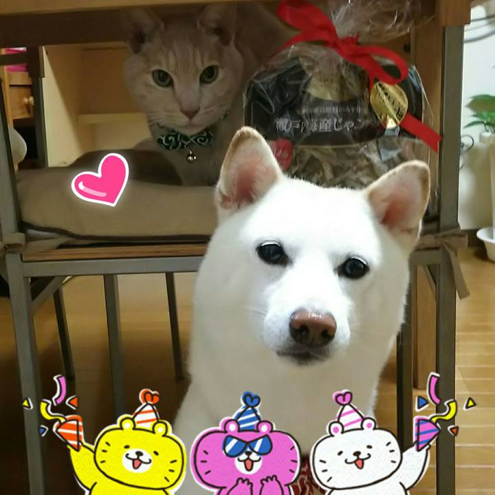 61e0783f a8bd 42d1 819f 604a942bc501