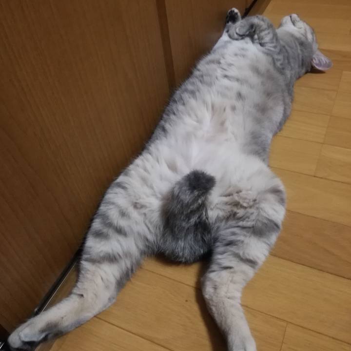 61e0e4e7 fe0f 4f02 a4f5 54667c4443c4