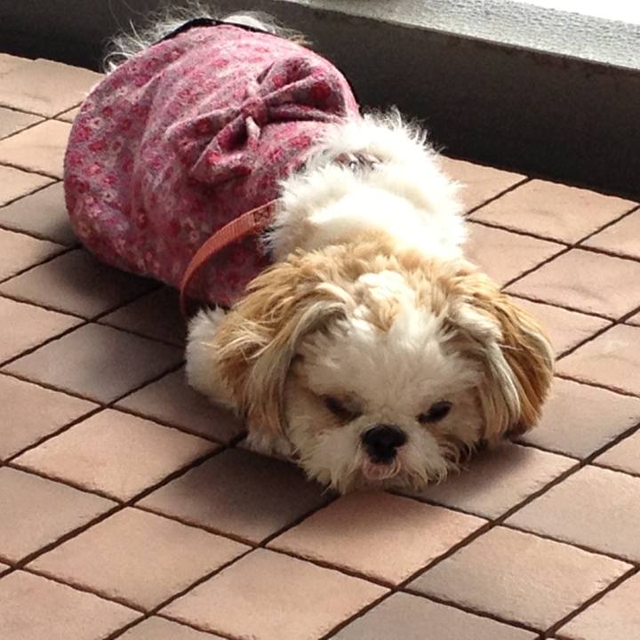 61e12f18 2f25 431a 99c3 cfdb9aadc596