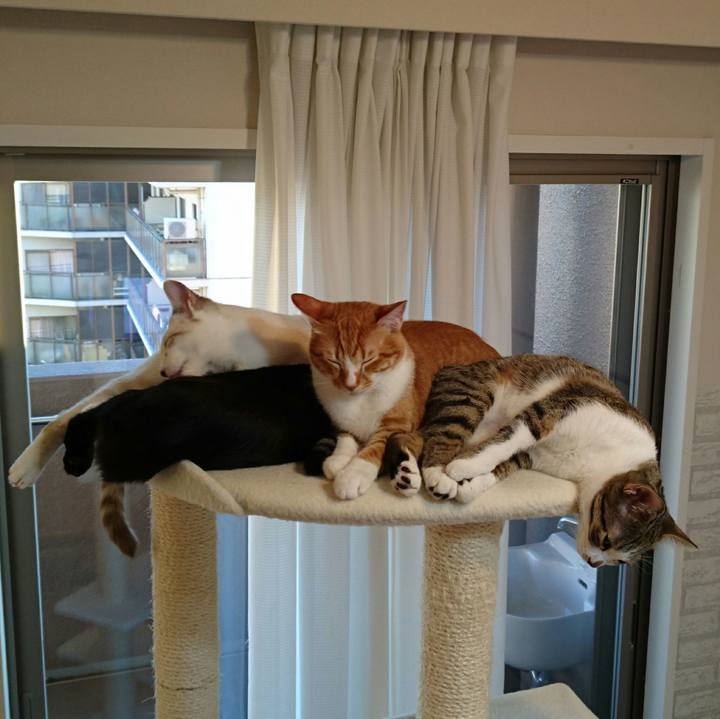 61e15685 c99f 4312 a265 f43c1b80dc04