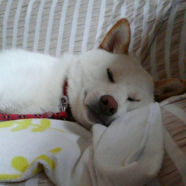 61e177f5 341f 42cd 8037 bae70f2e0fad