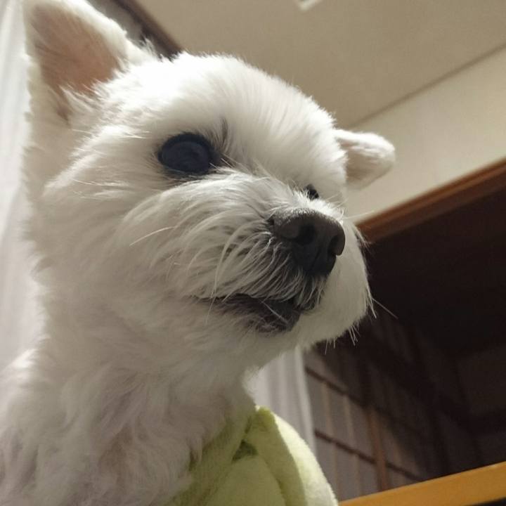 61e1b395 c08c 4f3a aaa0 f513749dceec