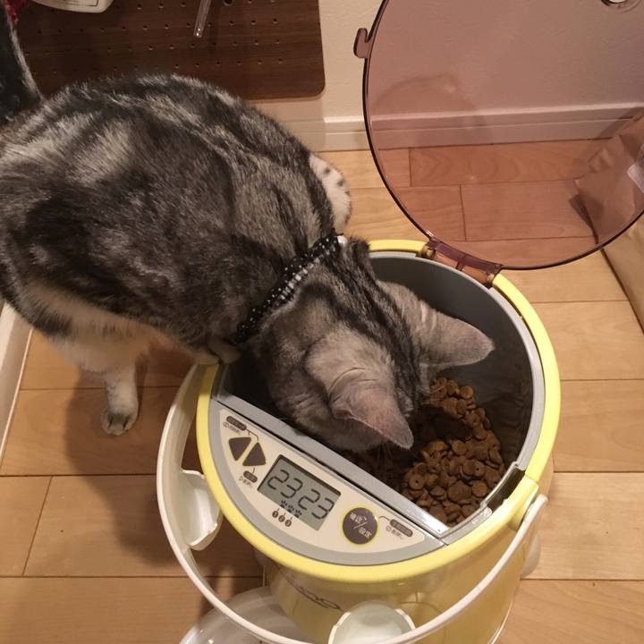 61e1f921 4c4c 44d6 98da e0d798023d08