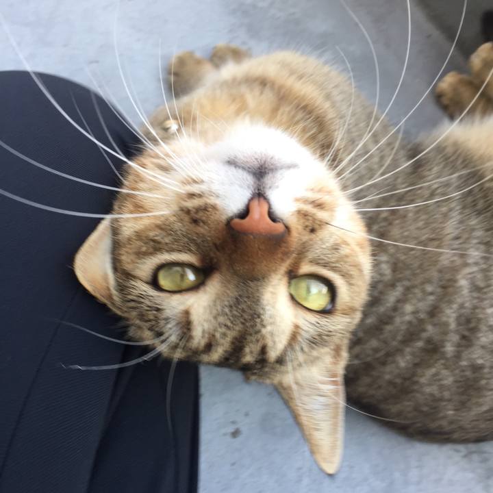 61e20d3d 806e 47b1 b8a8 aa803bb09b05