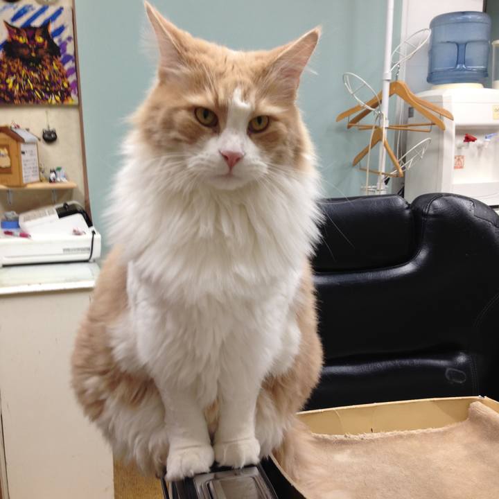 61e20d52 5263 4be6 9018 65cd53b41af5