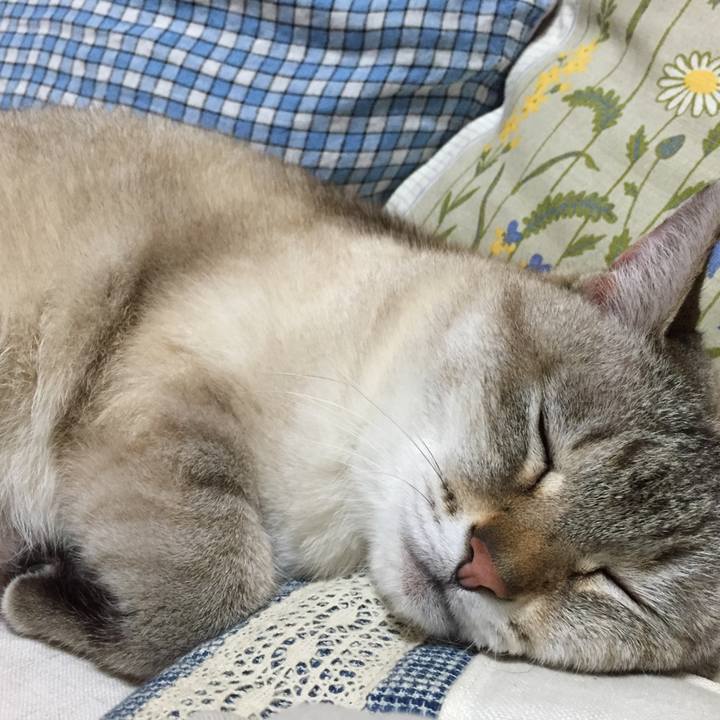 61e2407a 3d86 4a44 8bf8 87036eb7a4ce