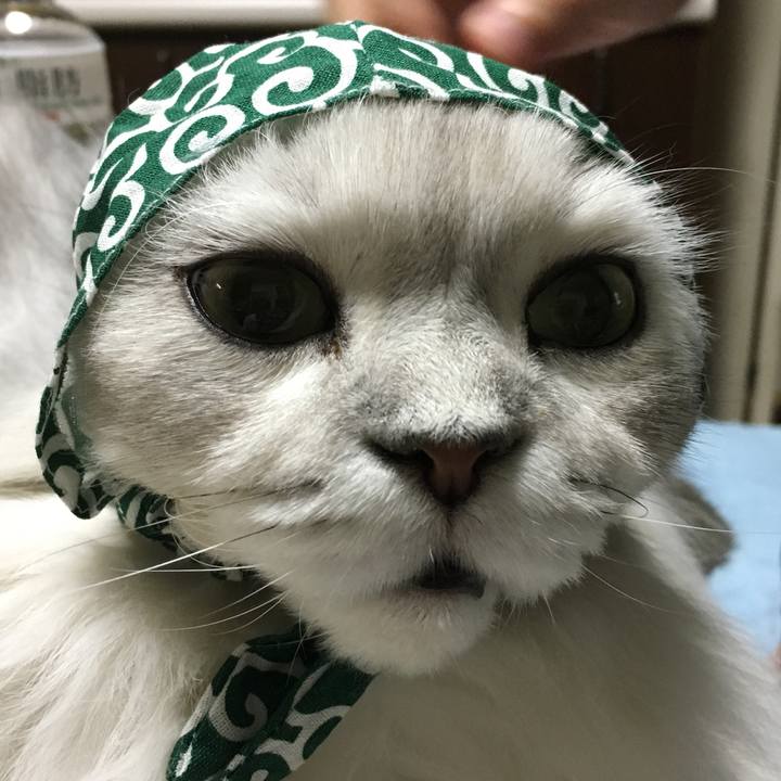 61e2b9cd e3fd 45dd 8b09 2f4b685ce3c3