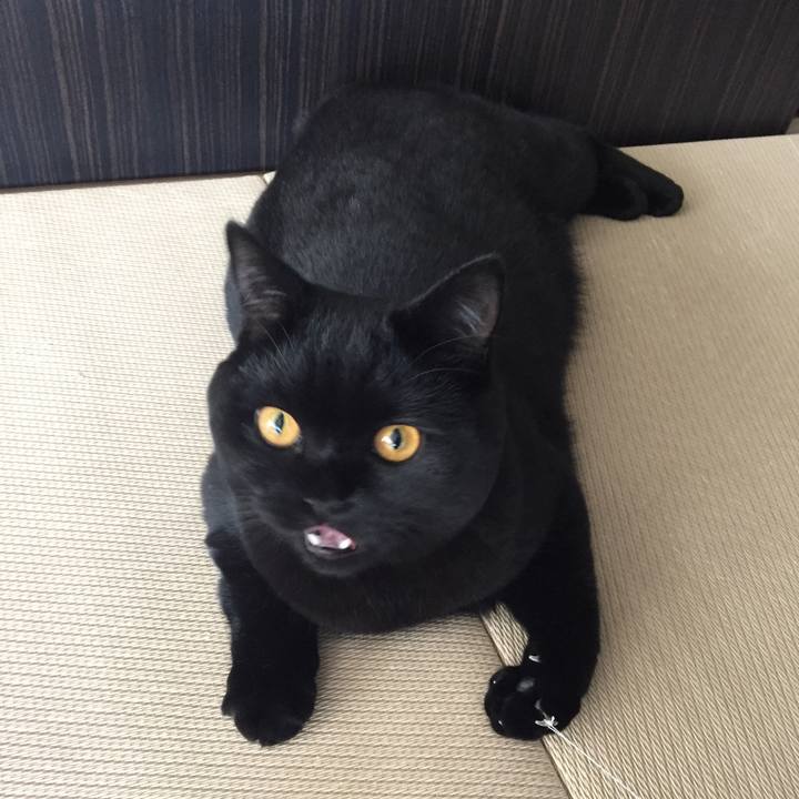 61e2c406 0695 4f51 9726 74a55a7d190f