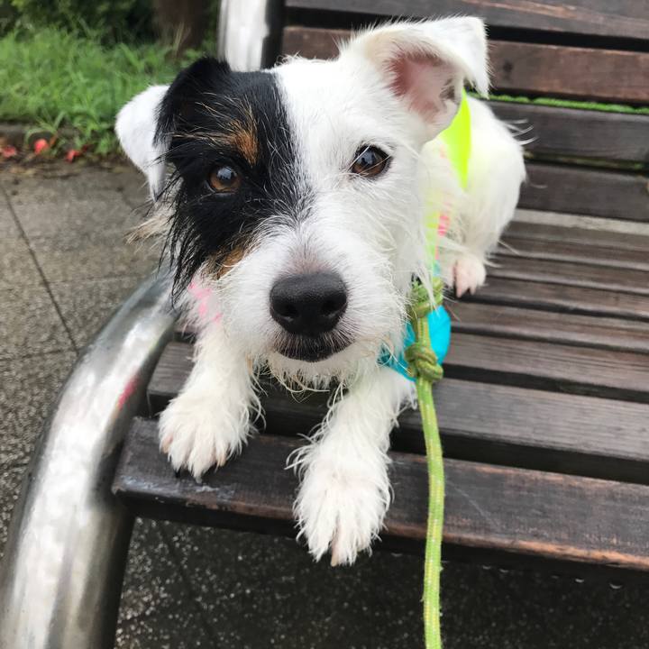 61e32664 b9b8 470d 829b c4caac30d3f3