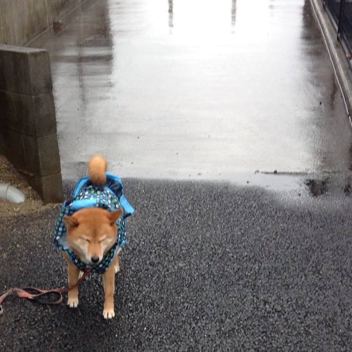 61e36e6b d38f 4330 95bd e2da7e91b991