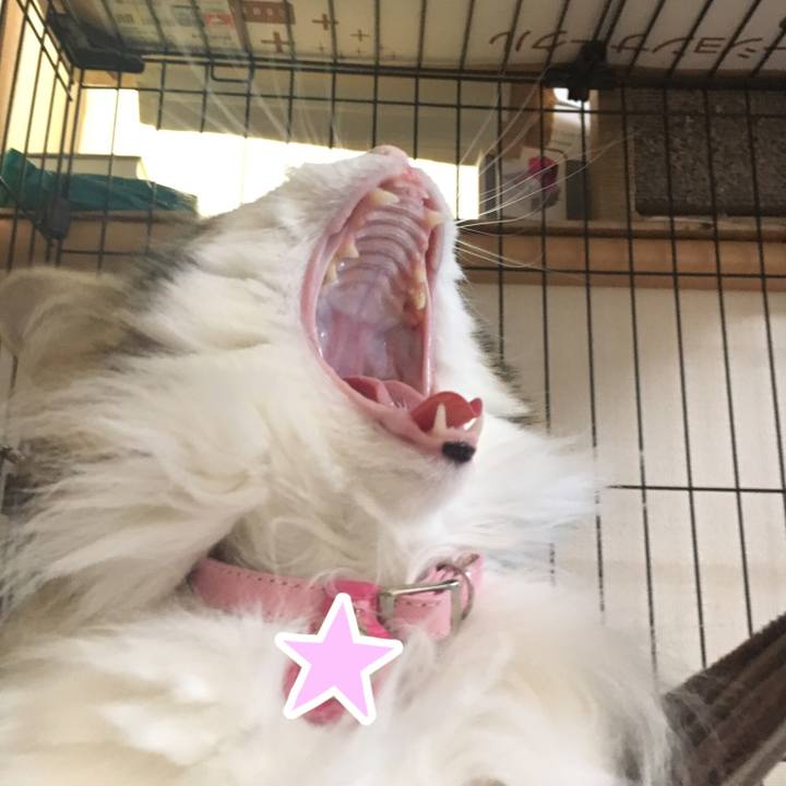 61e3754c c559 4537 877a 9bc9bf707b48