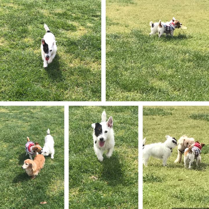 61e410f8 389d 4361 a410 2f4607ee7913