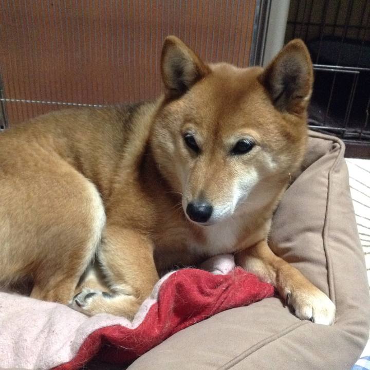 61e5060e 728d 44c3 9b61 6628162c4b0a