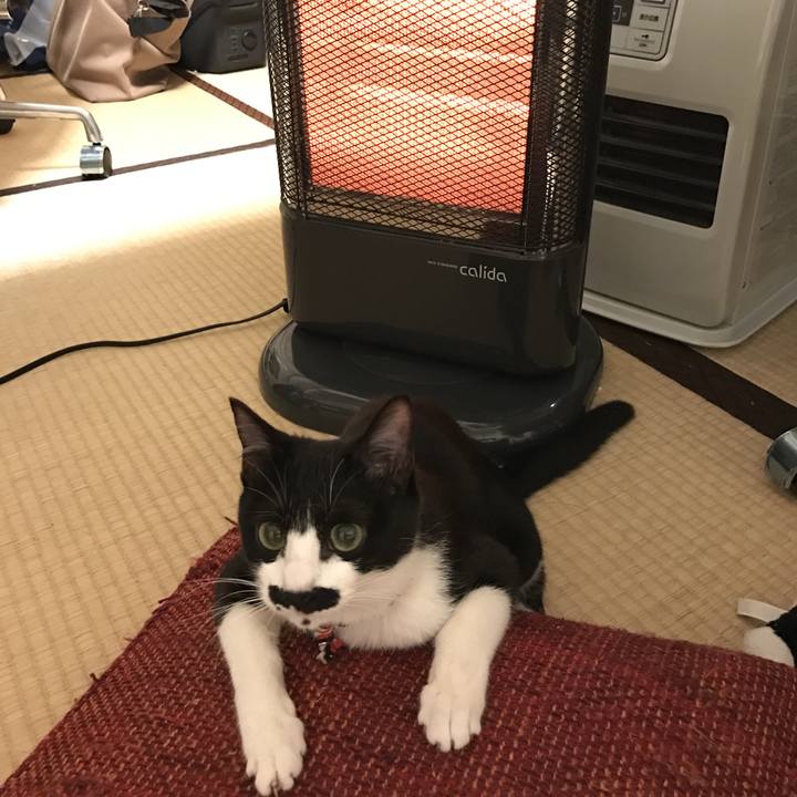 61e513e8 ad61 4bb3 afeb d5e56b80194c