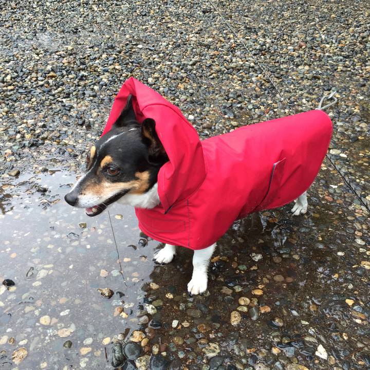 61e522b2 f101 479d a64c b201b377a6ab