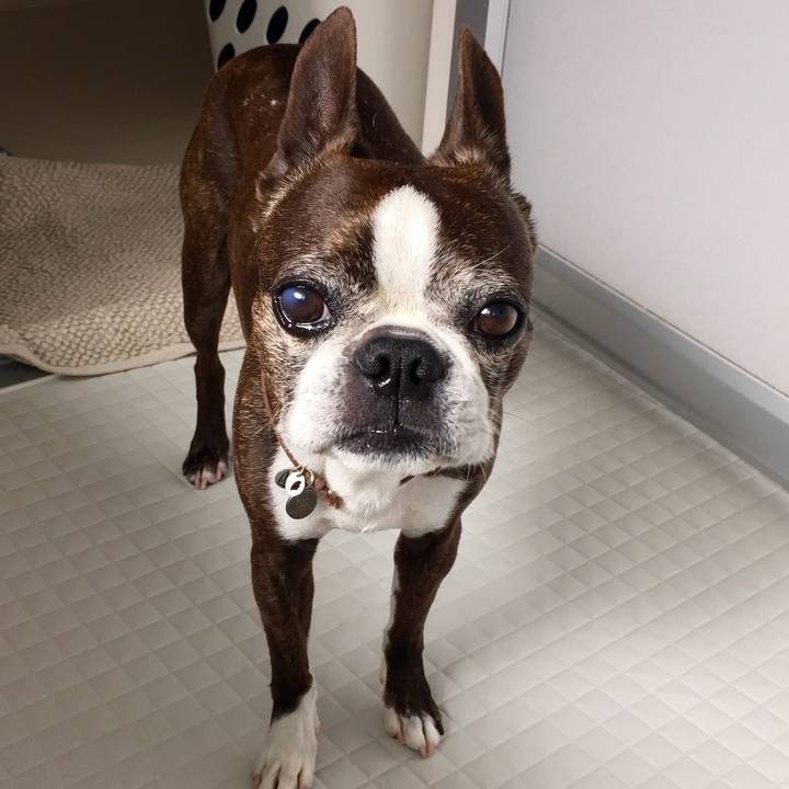 61e548c4 0116 4d56 967c b957a4012771