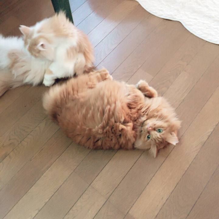 61e59c6e af99 41d2 a704 54fc651c7101