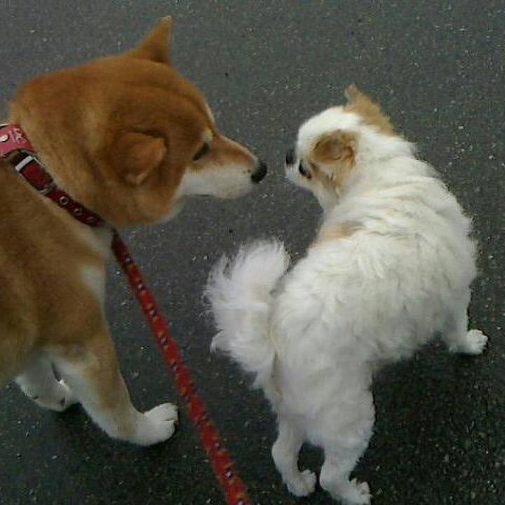 61e66747 3dca 4d1a 9ac4 149c3e404a7a