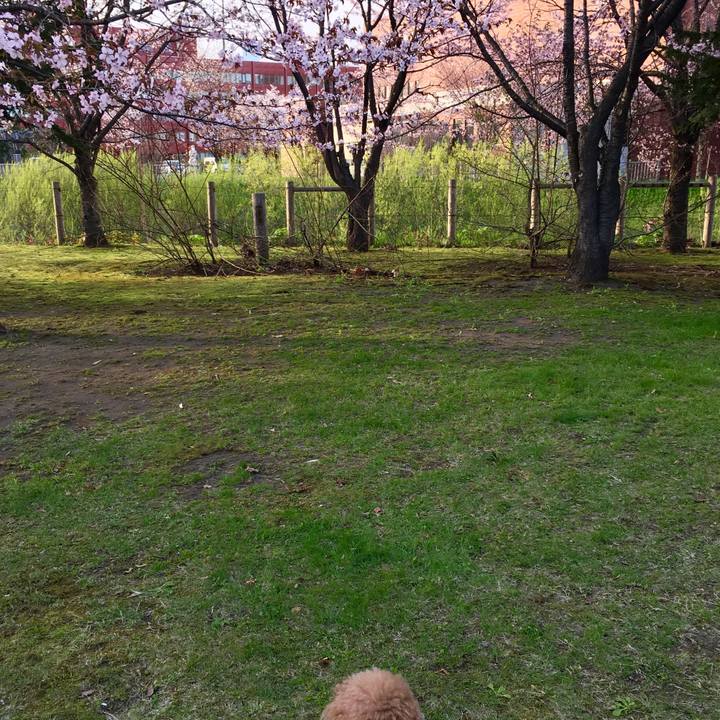 61e68aa9 0ded 42a0 96a6 aa52a7198fc1