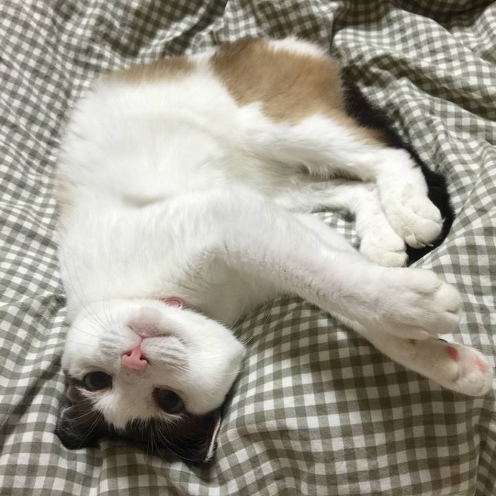 61e6ed20 0089 4584 9089 daff5c3d786e