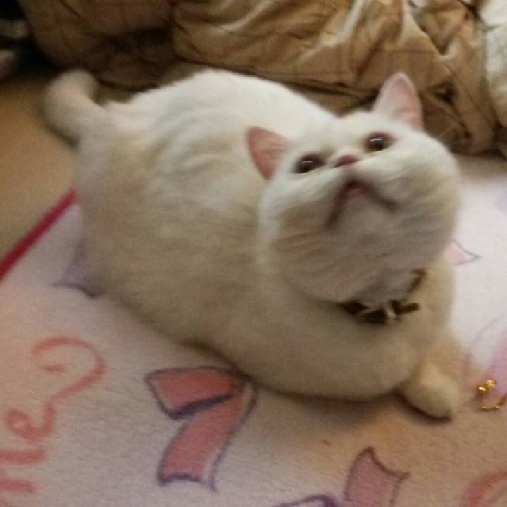 61e7697c c284 4036 80a5 bf9172d733f9