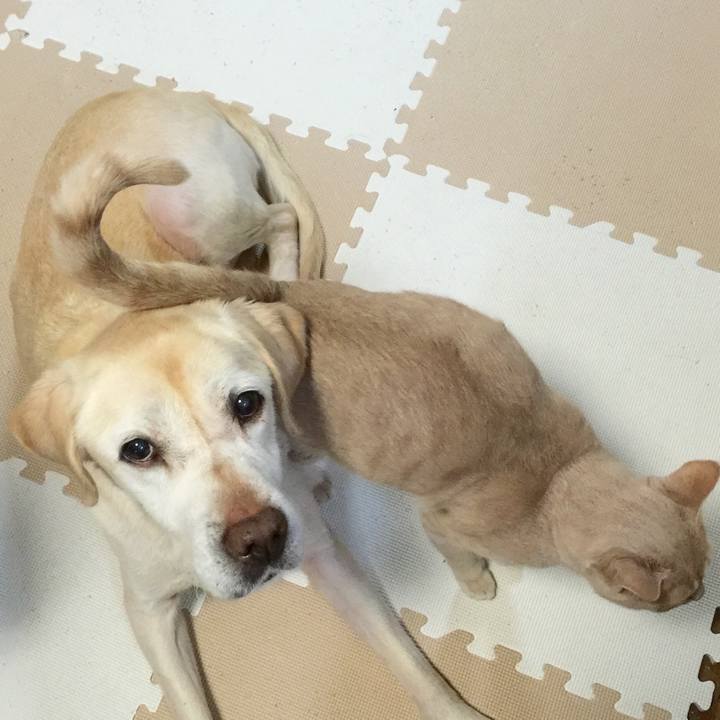 61e84920 eb3e 41ae 883c df3d372b7150