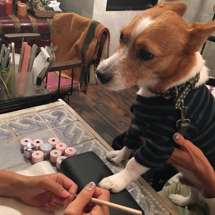 61e88f62 bd18 4b2b 910c 4feed04b0a04