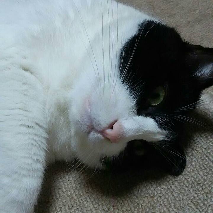 61e92683 4bcd 468d 879e 69240ee83115