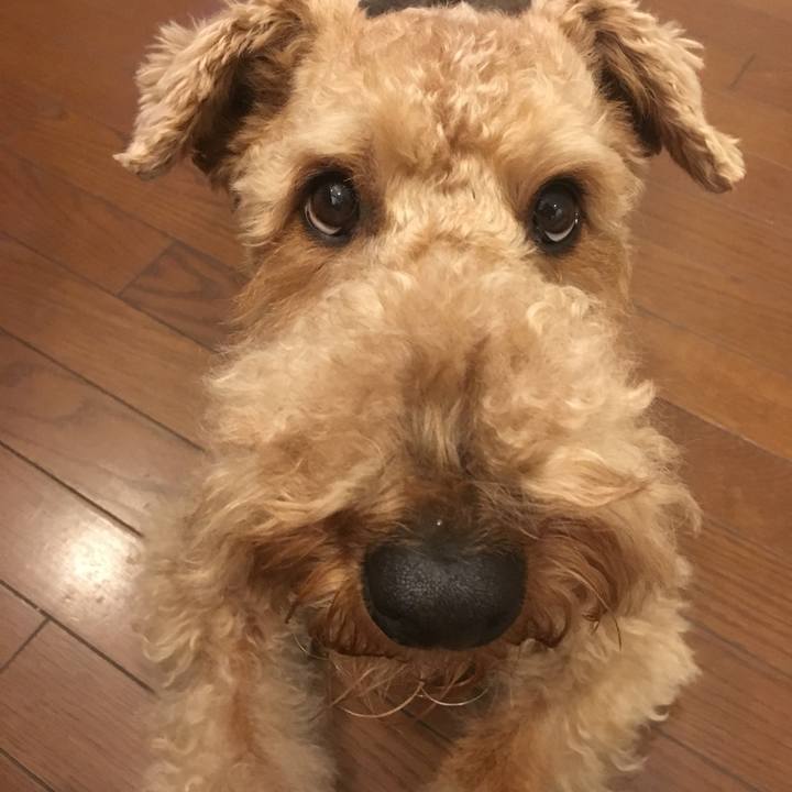 61e92b8a 7e3b 45b0 a8dd 79ffeb2cab81