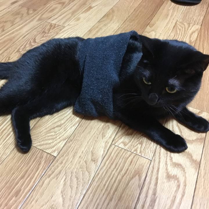 61e98891 3077 4d3b 9a1b ba65ffd8a83c