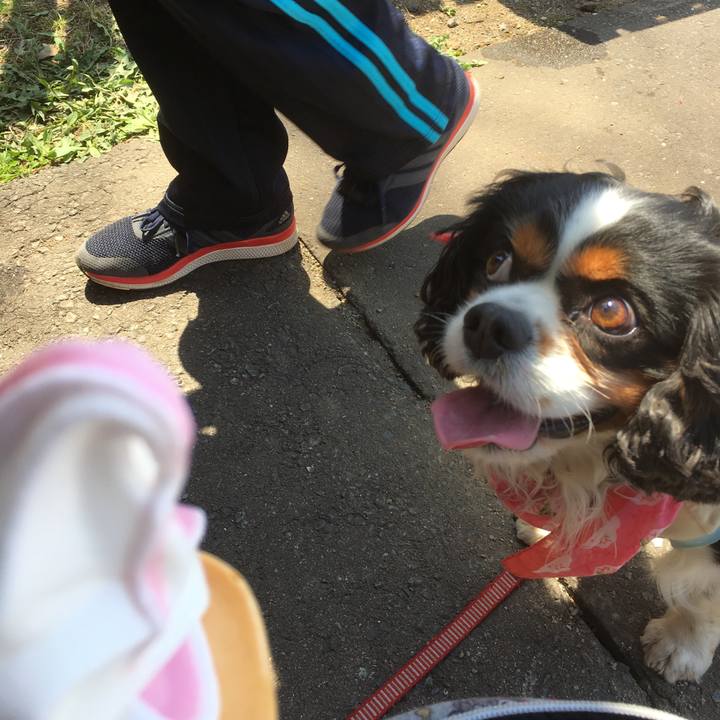 61e9aec8 3471 4df9 880b 4c32fd943817