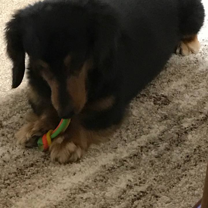 61ea5fca 6d3c 4648 8482 300e961fb280