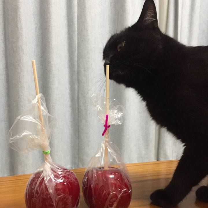 61ea88db a972 4be5 8ded 289d89e36207