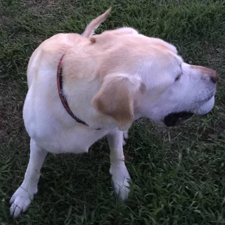 61ea9d8d dfcd 4f2e 95d4 46a8cdf7c74f