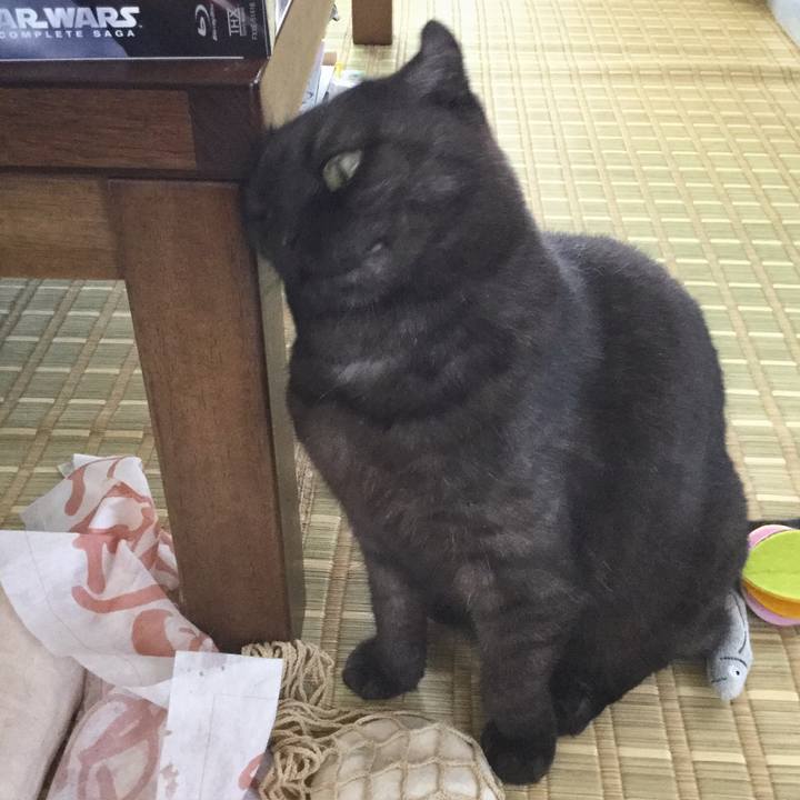 61ea9e9d 4689 458c 8ae0 1b595c09fcd8